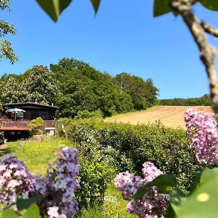 Вилла Ferienhaus Zittertal Neustadt Harz Haus I Harztor Экстерьер фото