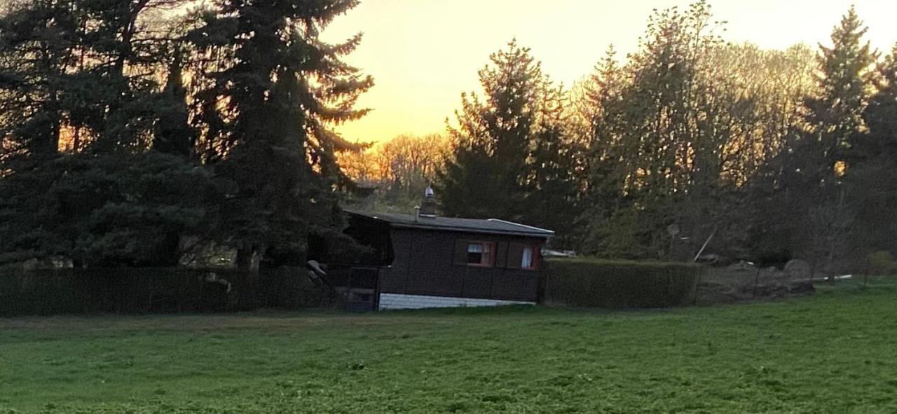 Вилла Ferienhaus Zittertal Neustadt Harz Haus I Harztor Экстерьер фото