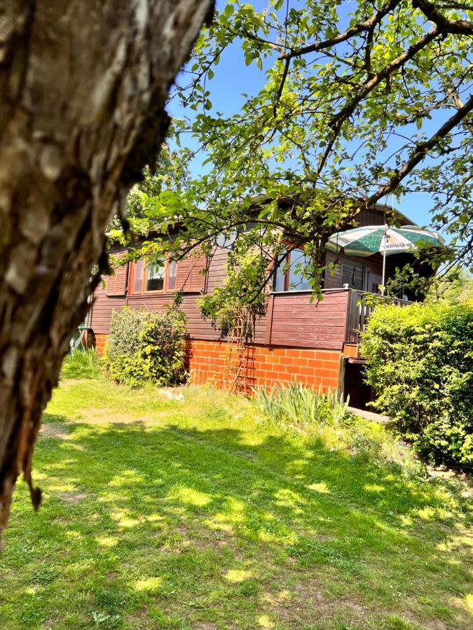 Вилла Ferienhaus Zittertal Neustadt Harz Haus I Harztor Экстерьер фото