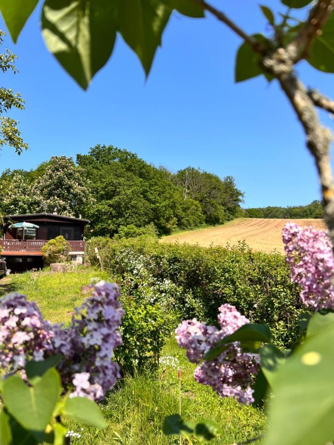 Вилла Ferienhaus Zittertal Neustadt Harz Haus I Harztor Экстерьер фото
